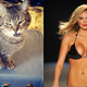 Illustration for article titled Meet Jezebel's Pets and Their Celebrity Lookalikes!